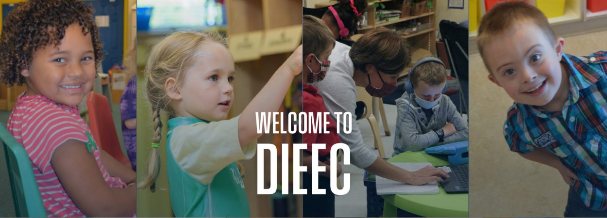 Welcome to DIEEC