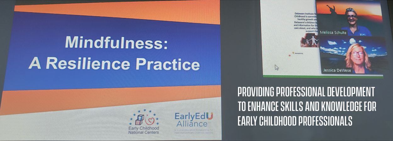 Providing professional development to enhance skills and knowledge for early childhood professionals 