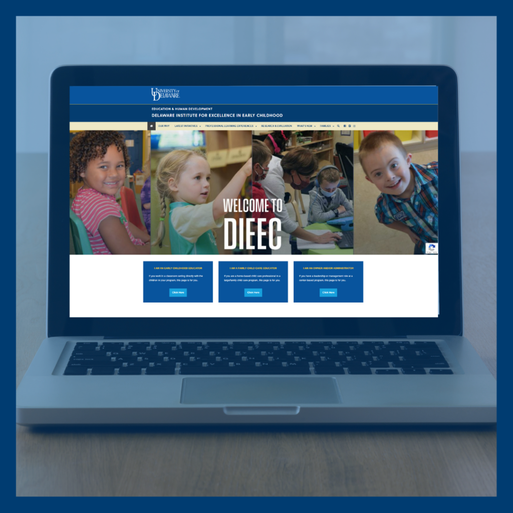 Screenshot of DIEEC website.