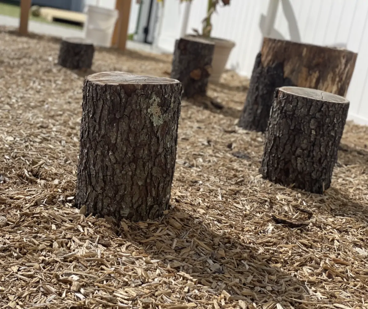 Outdoor playgound with wood stumps for climbing or sitting