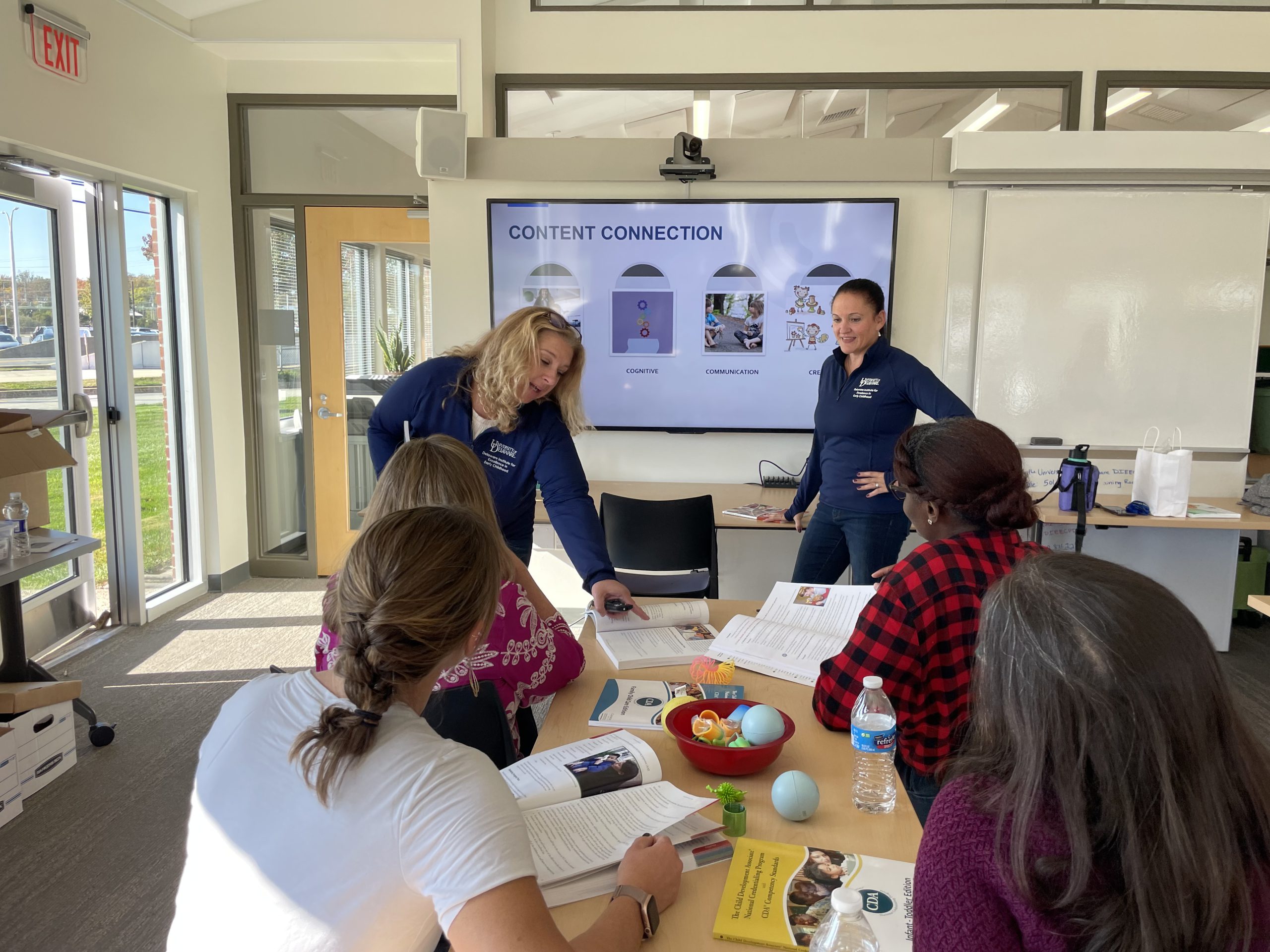 DIEEC staff presenting to a group