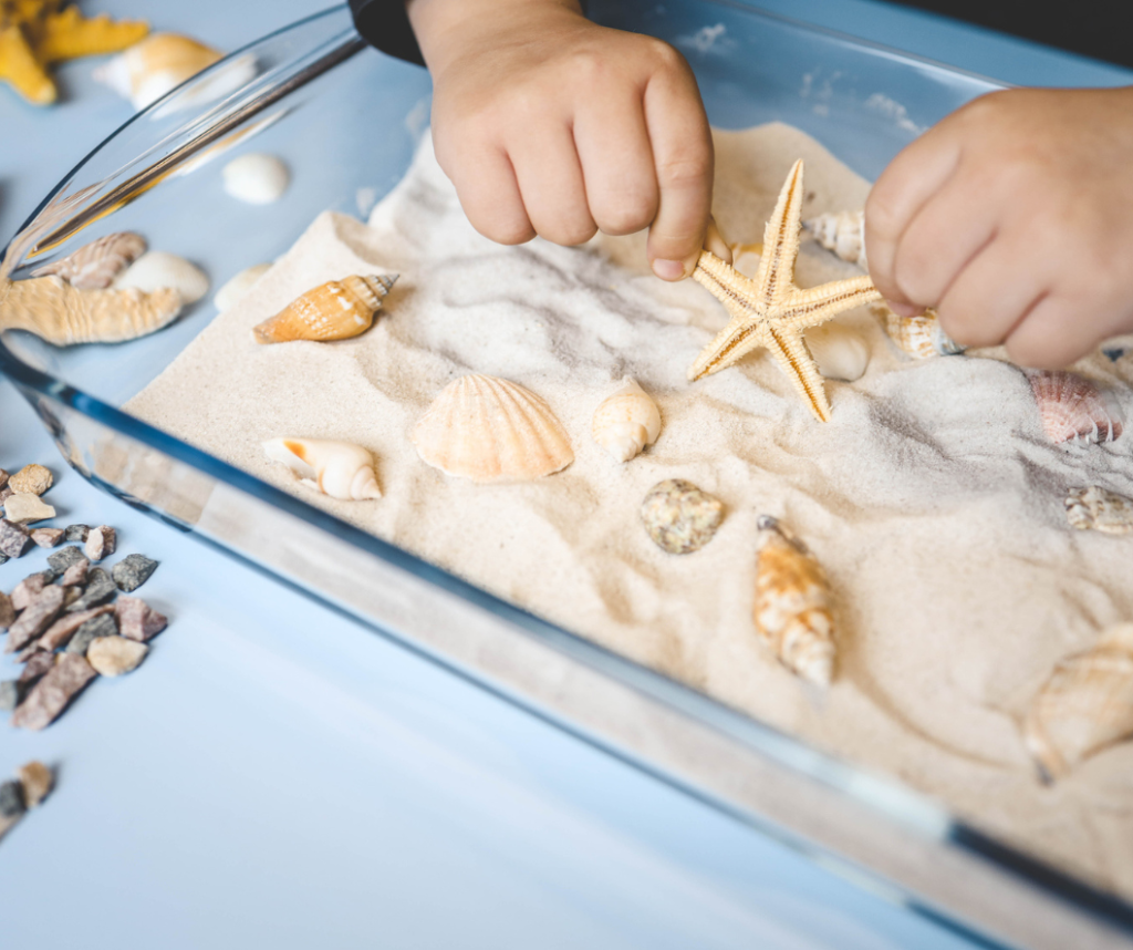 A child studies sand and shells, an idea for an activity with a child.